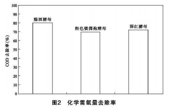 污水處理設備__全康環(huán)保QKEP