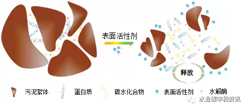 污水處理設備__全康環(huán)保QKEP