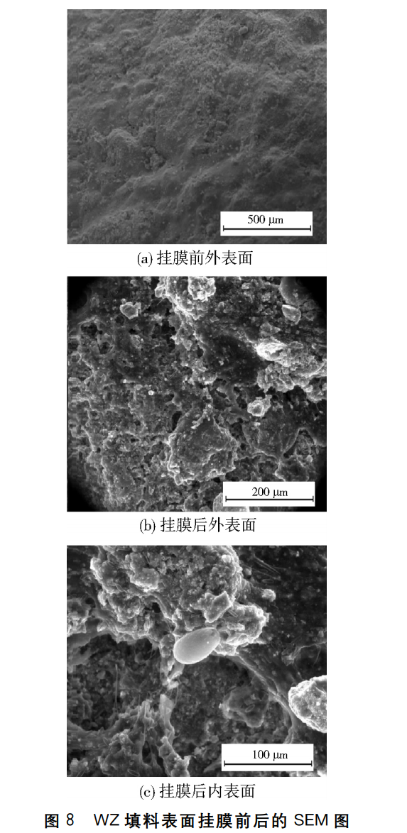 污水處理設備__全康環(huán)保QKEP