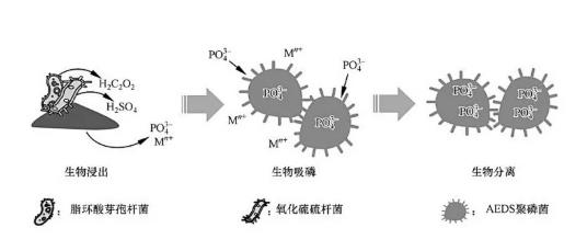 污水處理設(shè)備__全康環(huán)保QKEP