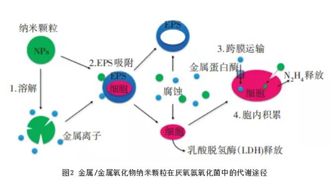 污水處理設備__全康環(huán)保QKEP