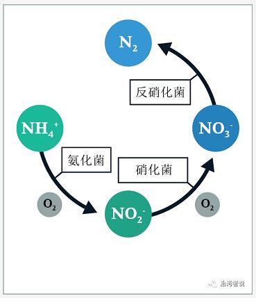 污水處理設備__全康環(huán)保QKEP