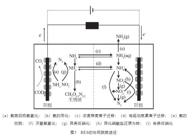 污水處理設(shè)備__全康環(huán)保QKEP