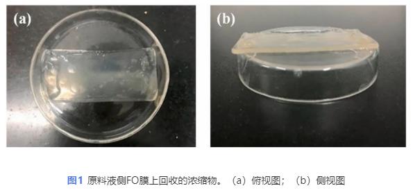 污水處理設備__全康環(huán)保QKEP